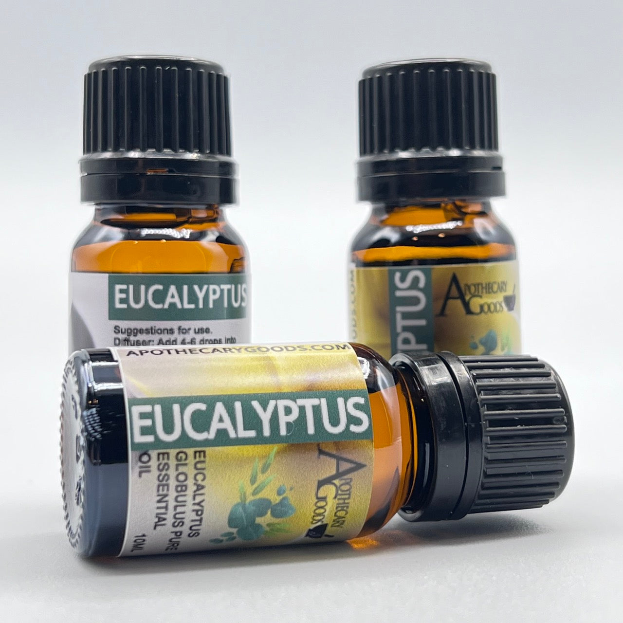 Eucalyptus Oil Benefits and Uses - Compare 4 Different Varieties – Morgans  Apothecary